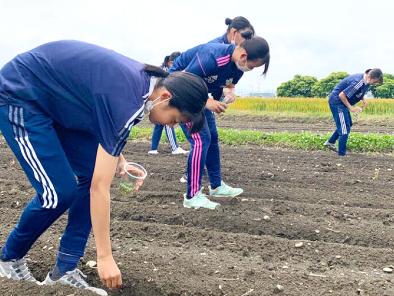 スマイル山雅農業プロジェクト 松本山雅レディースU-15が「味噌作り