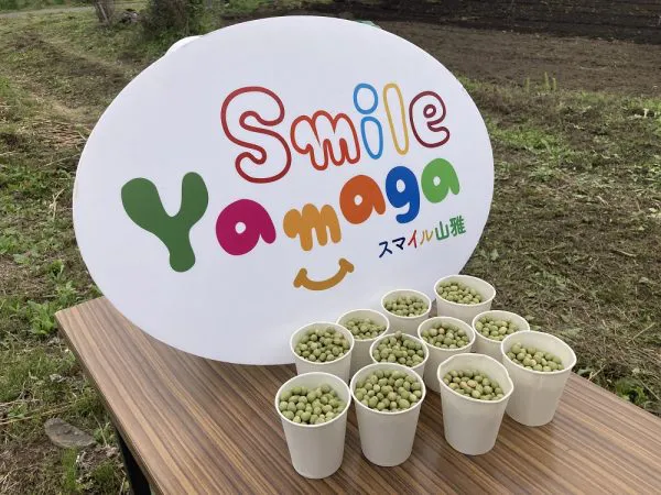 f6f77a1616e27fc34eb1a81aa7dc62