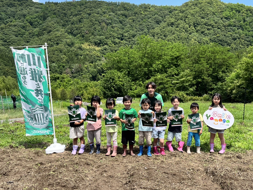 山採り　ヤマモミジ　リョウブ　混合株 山採り ヤマモミジ リョウブ 混合株 カード検索 ｜ Z/X - Zillions of