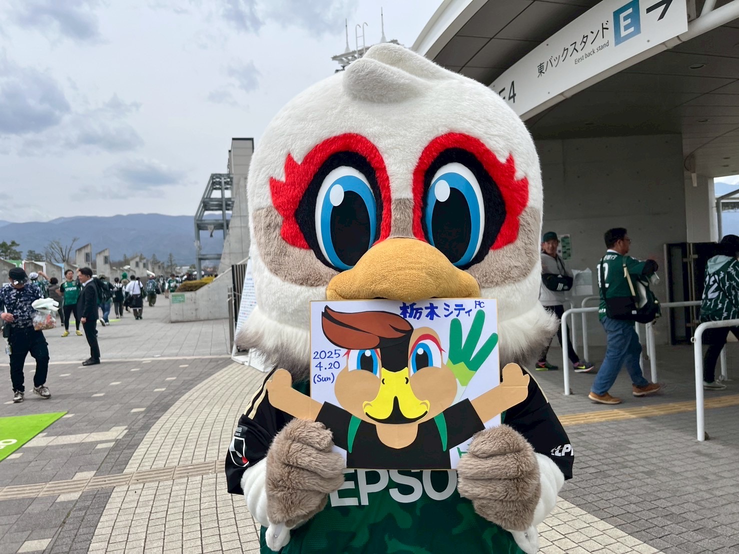 5月25日まで期間限定値下げ中‼️アイデス カンガルー フォレスト(グリーン) ガンズくん日記 | 松本山雅FC オフィシャルサイト｜Matsumoto Yamaga F.C.