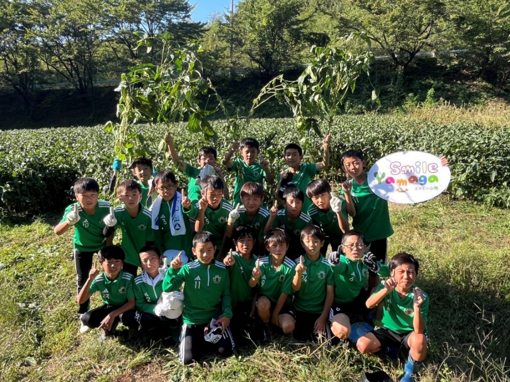 スマイル山雅農業プロジェクト】枝豆「あやみどり」の収穫を行いました