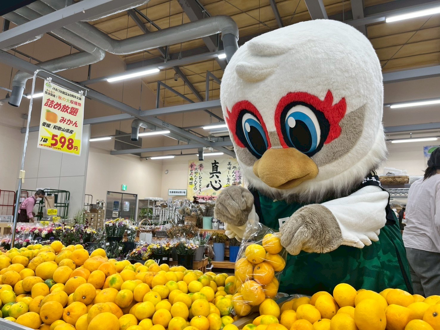 ガンズくん日記 | 松本山雅FC オフィシャルサイト｜Matsumoto Yamaga F.C.