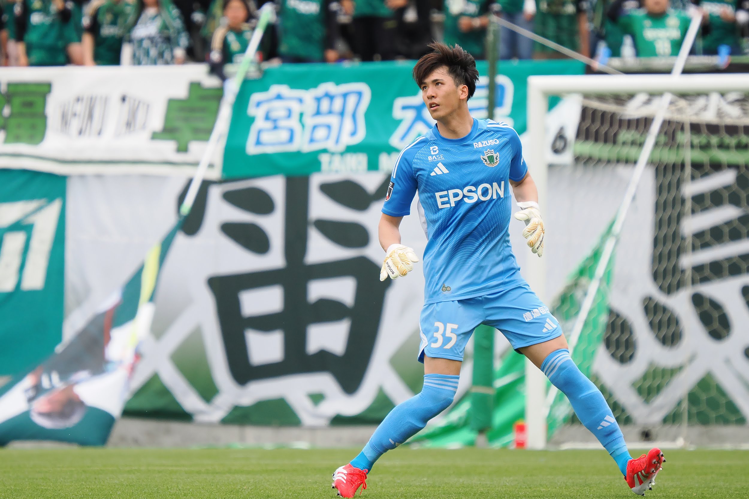 ドルフィン　神経刺激　越山雅代さん ドルフィン 神経刺激 越山雅代さん - メルカリ