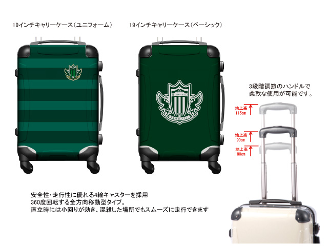 YG_CarryCase