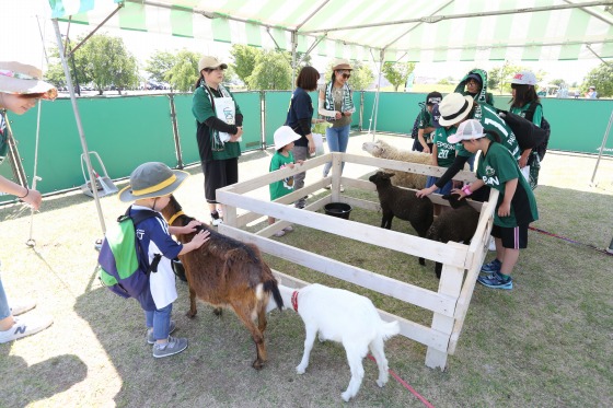 動物園２