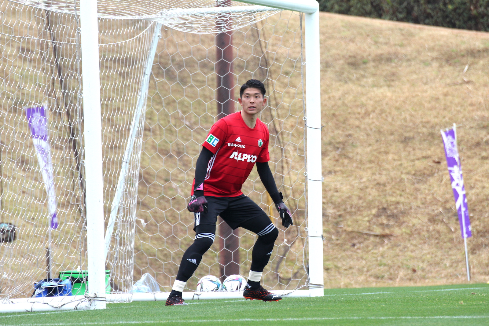 トレーニングマッチの結果 Vs サンフレッチェ広島 松本山雅fc トレーニングマッチの結果 Vs サンフレッチェ広島 松本山雅fc